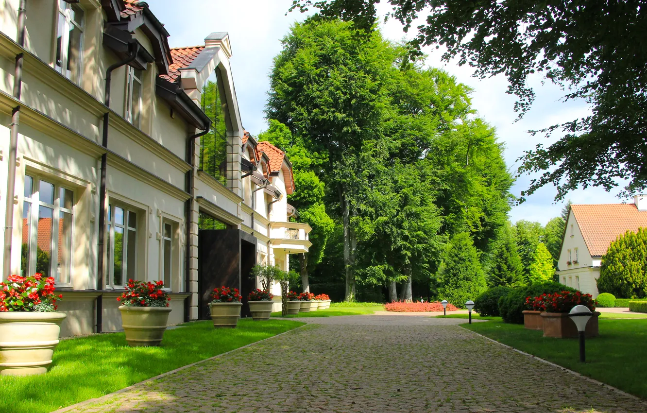 Photo wallpaper park, alley, building