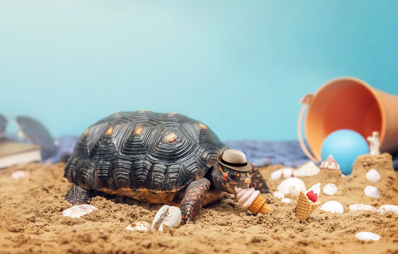 Photo wallpaper sand, sea, beach, the sky, pose, stay, toy, turtle