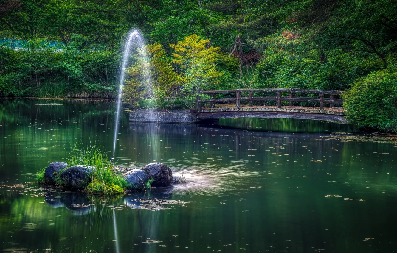 Photo wallpaper greens, grass, trees, bridge, pond, Park, stones, Japan