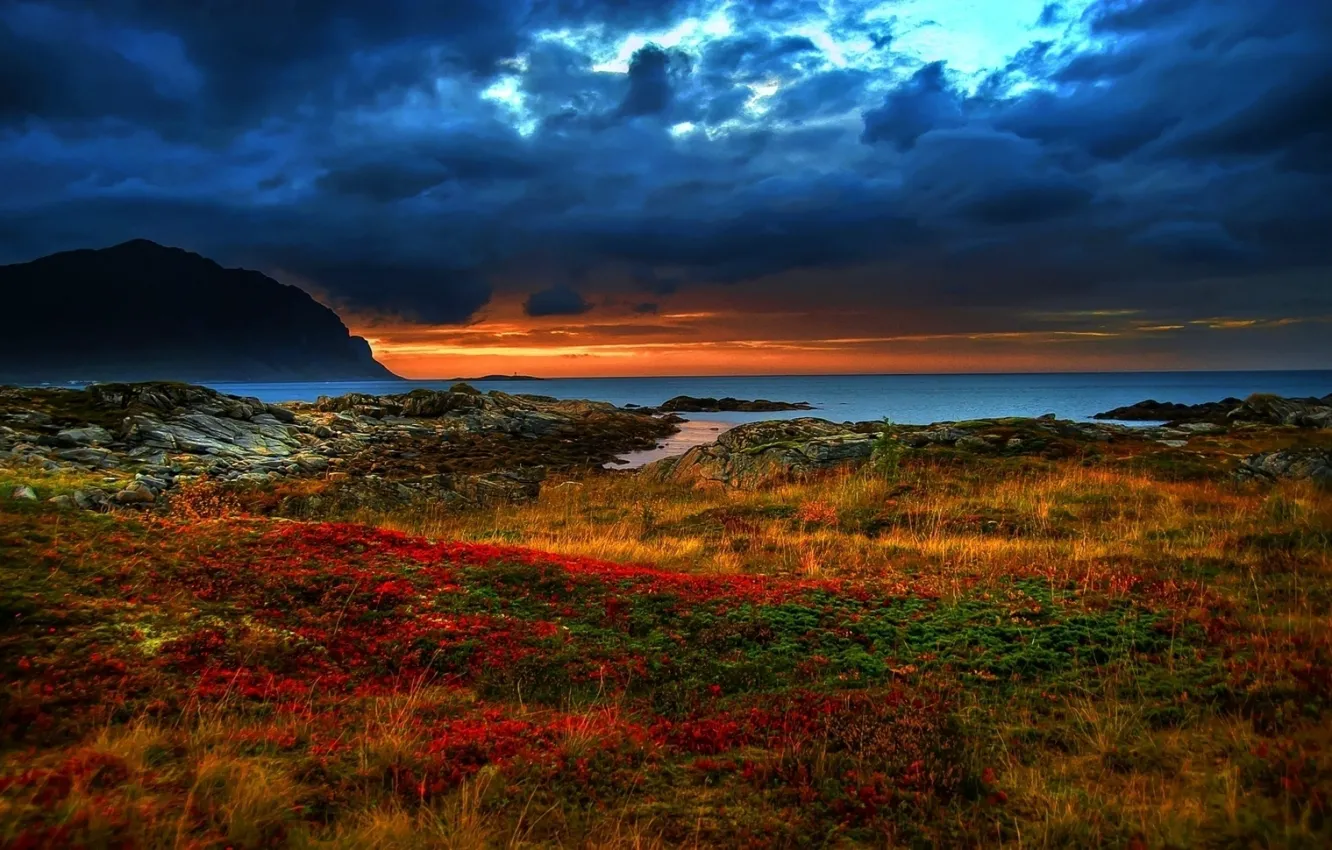 Photo wallpaper sea, the sky, grass, sunset, rocks, dark