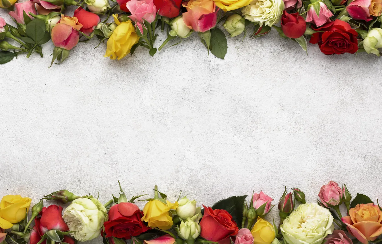 Photo wallpaper flowers, roses, bouquet, frame, light background, buds, different, a lot