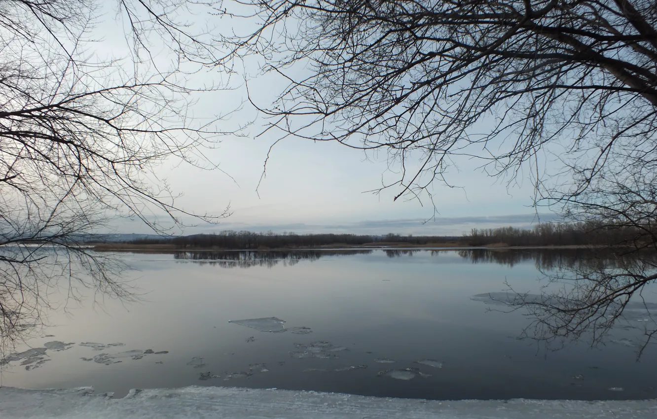 Photo wallpaper ice, trees, nature, island, Spring, Volga