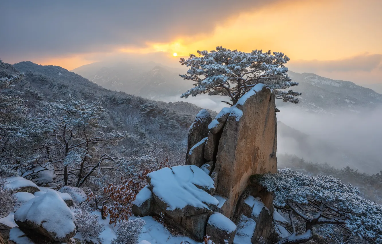 Photo wallpaper winter, clouds, snow, landscape, mountains, nature, fog, tree