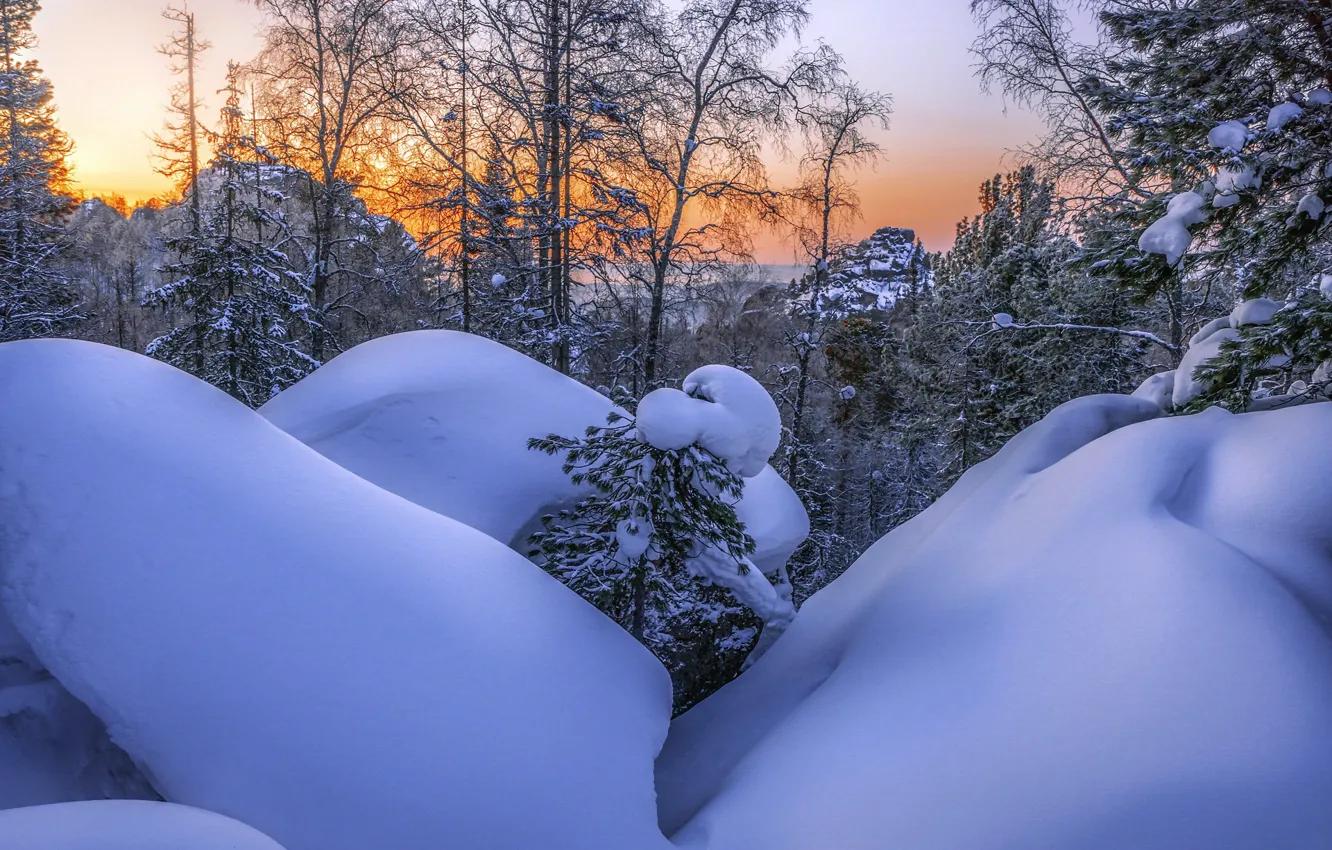 Photo wallpaper winter, snow, trees, Anatolich, Krasnoyarsk Pillars National Park