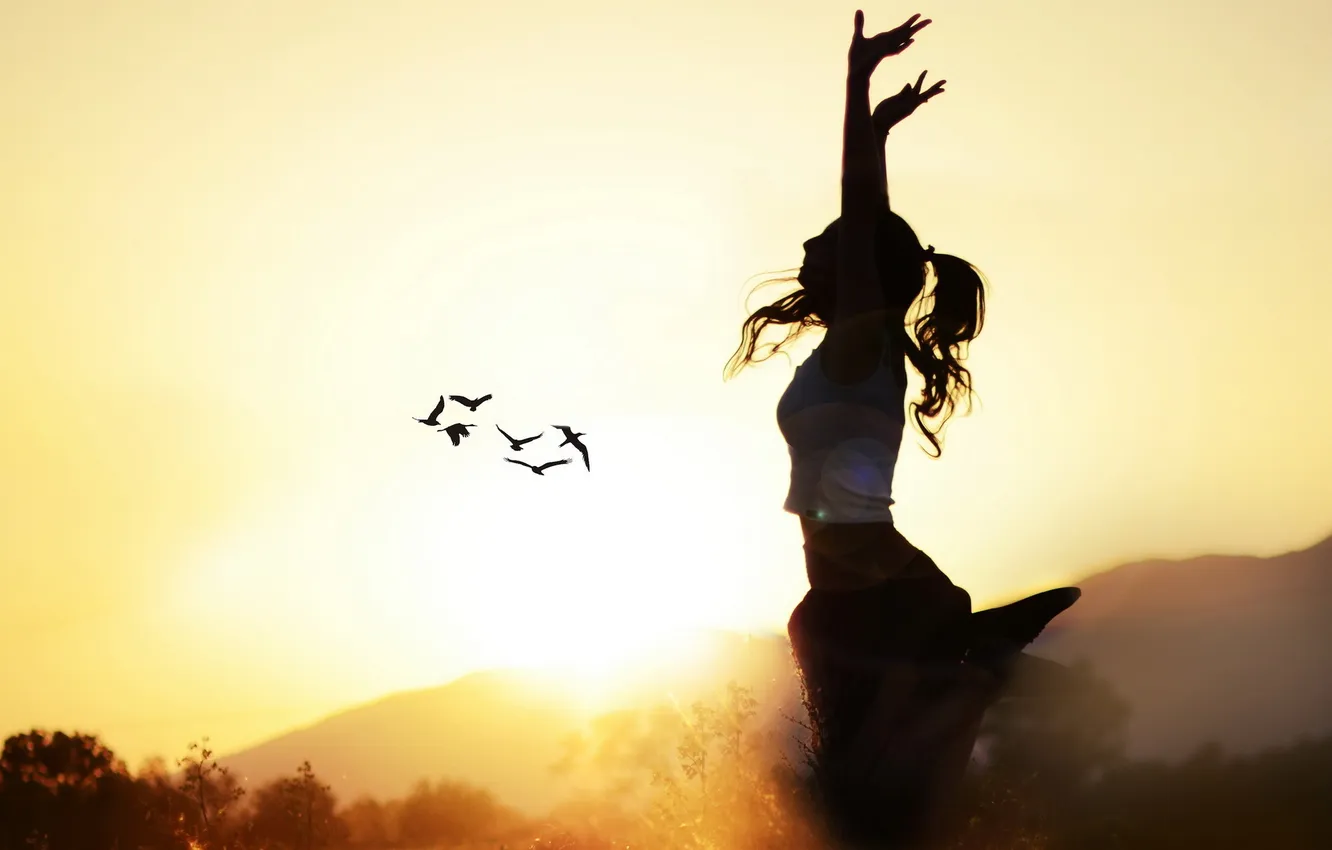 Photo wallpaper field, summer, girl, light, bird