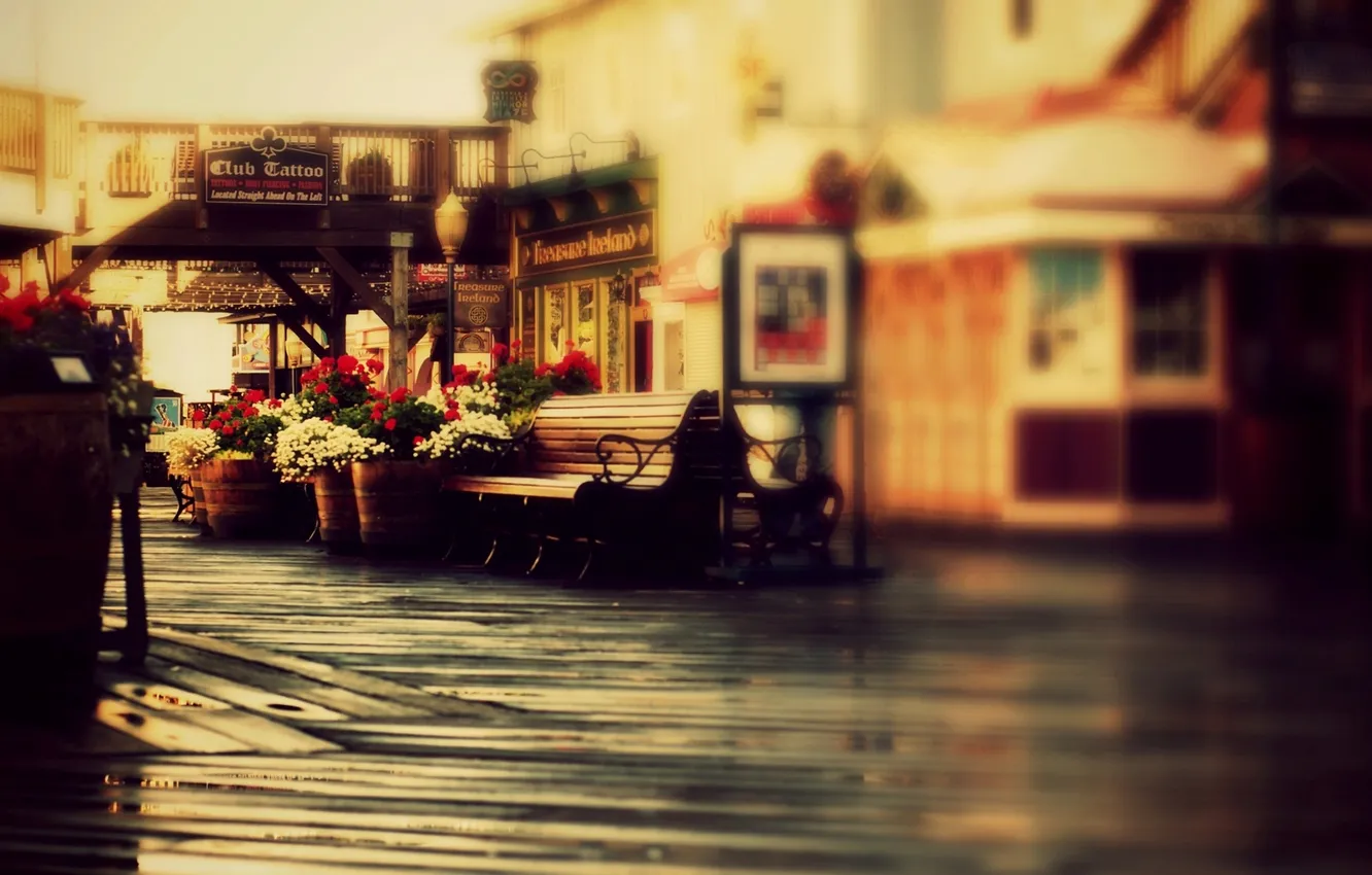 Photo wallpaper flowers, bench, street, shop, shop, signs, bench, stores