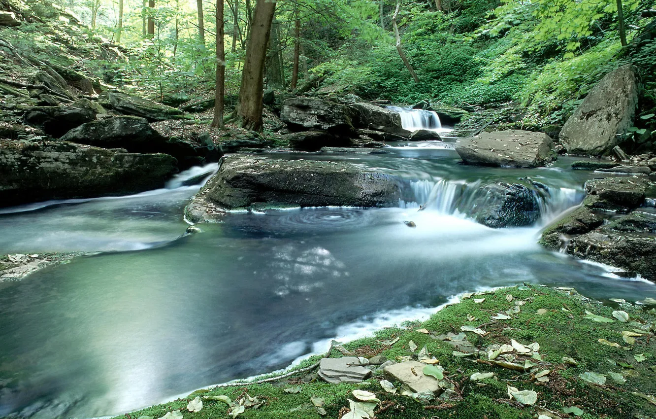 Photo wallpaper forest, river, stones, waterfall, Nature