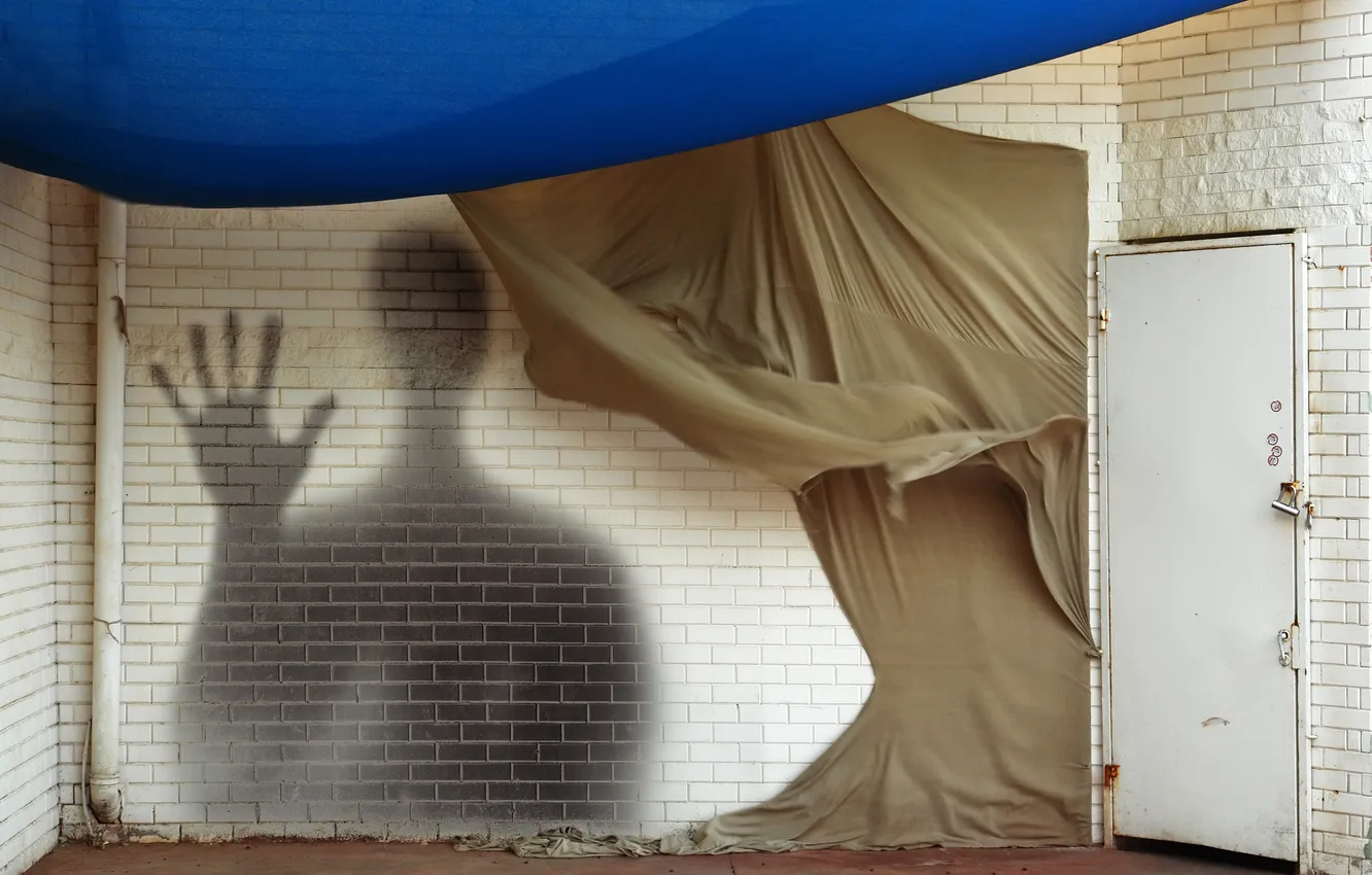 Photo wallpaper wall, shadow, the door