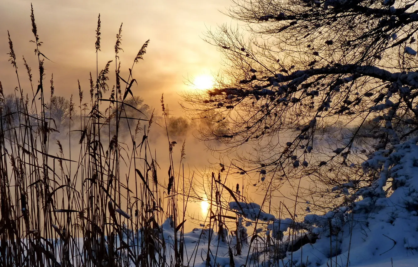 Photo wallpaper landscape, fog, river, morning