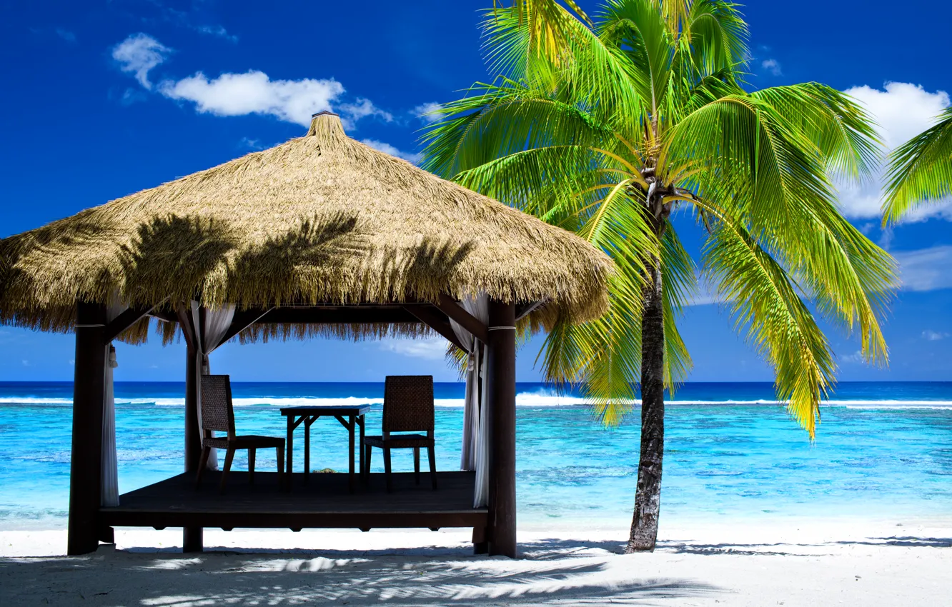 Photo wallpaper sea, beach, summer, palm trees, stay, shore, summer, beach