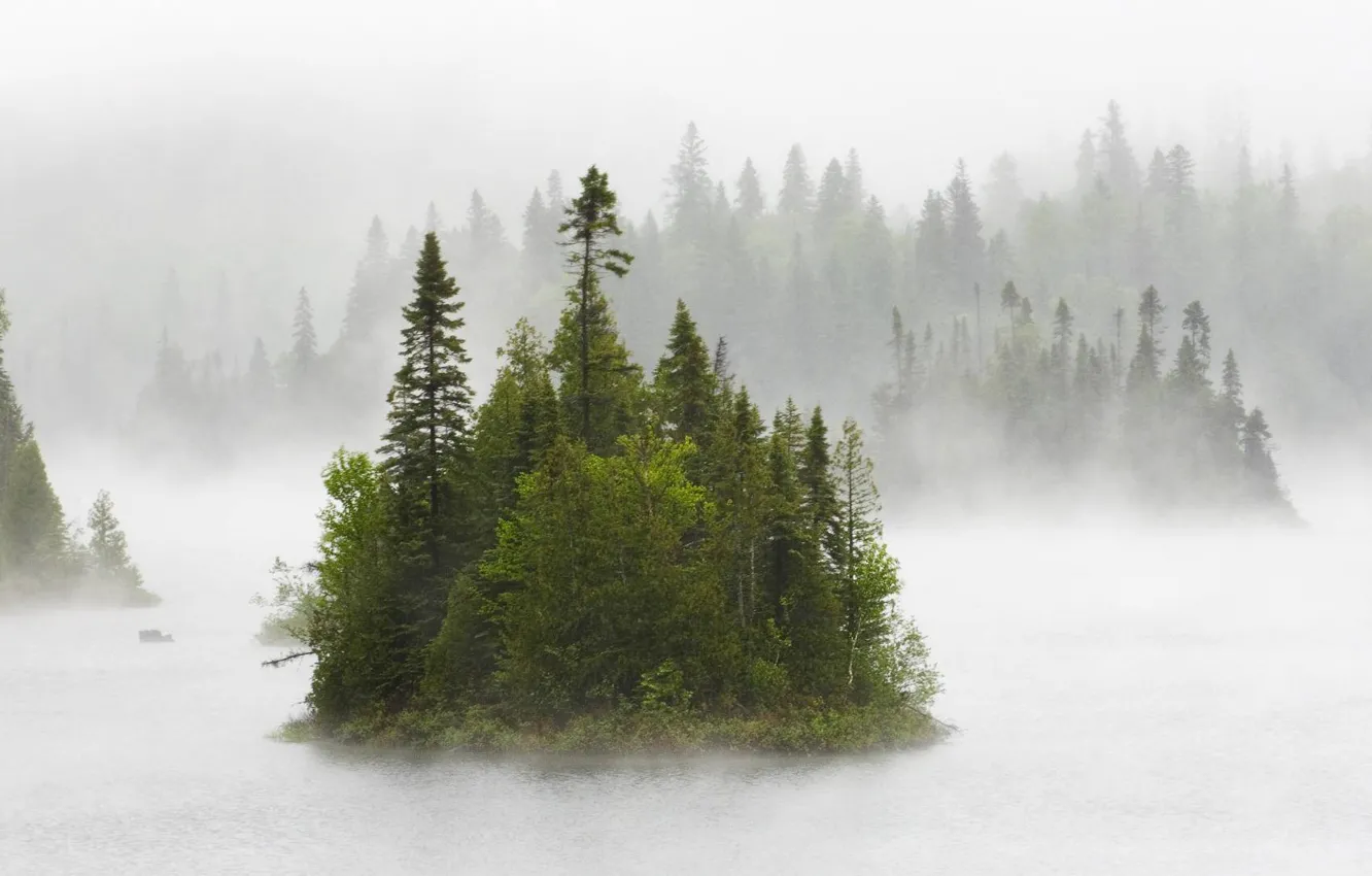 Photo wallpaper forest, nature, fog, river, Canada, fog on fentol lake