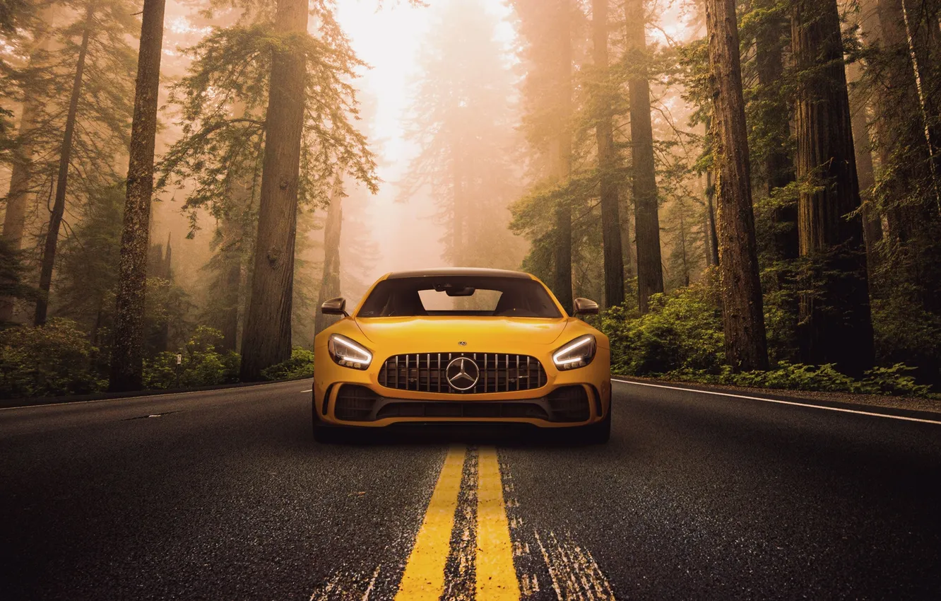 Photo wallpaper Mercedes, Benz, Mercedes Benz, AMG