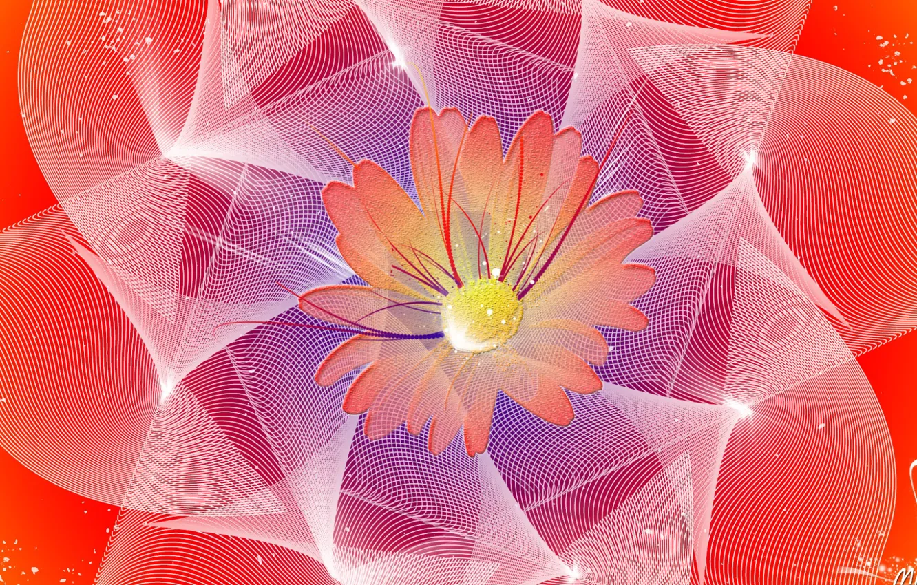 Photo wallpaper flower, orange, pattern