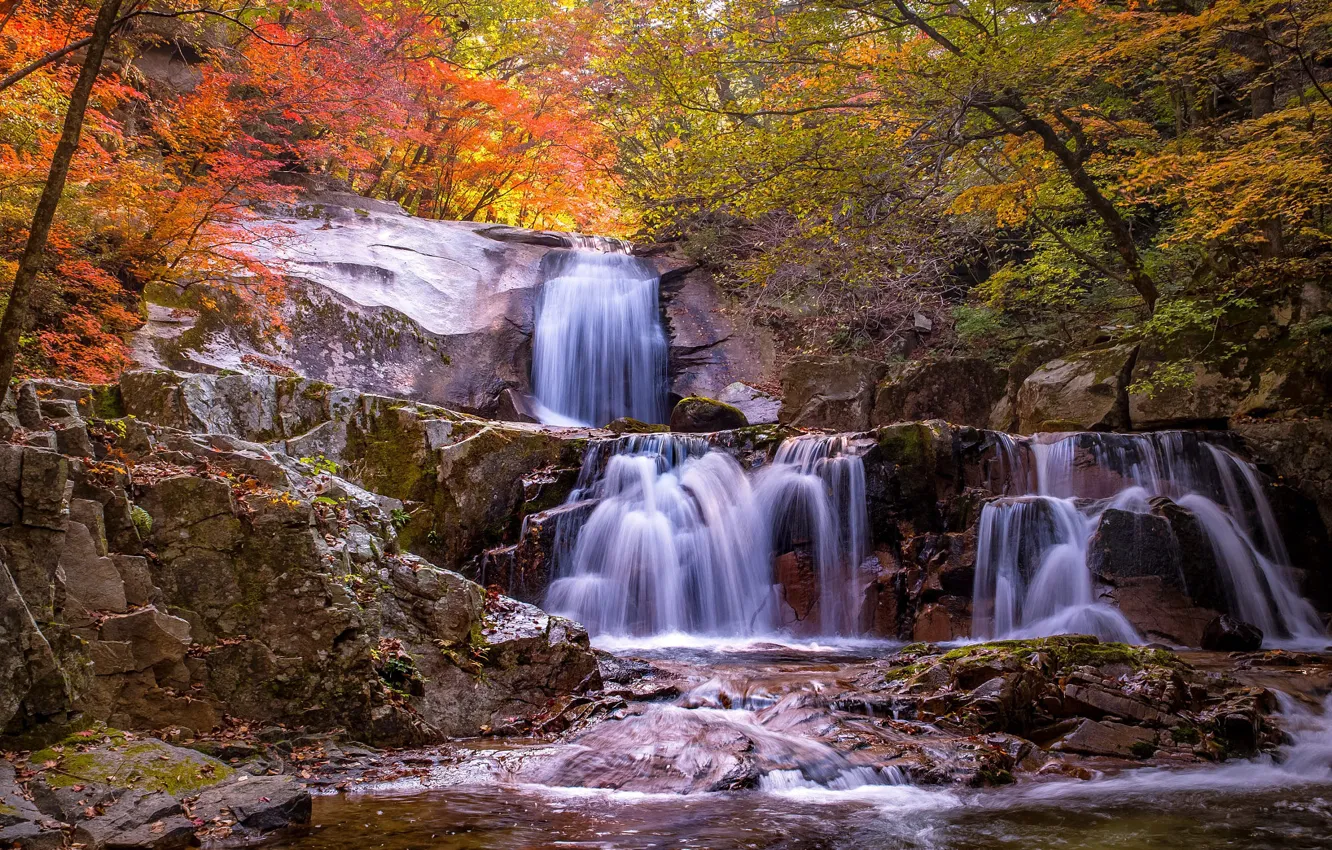 Photo wallpaper autumn, forest, rocks, foliage, waterfall
