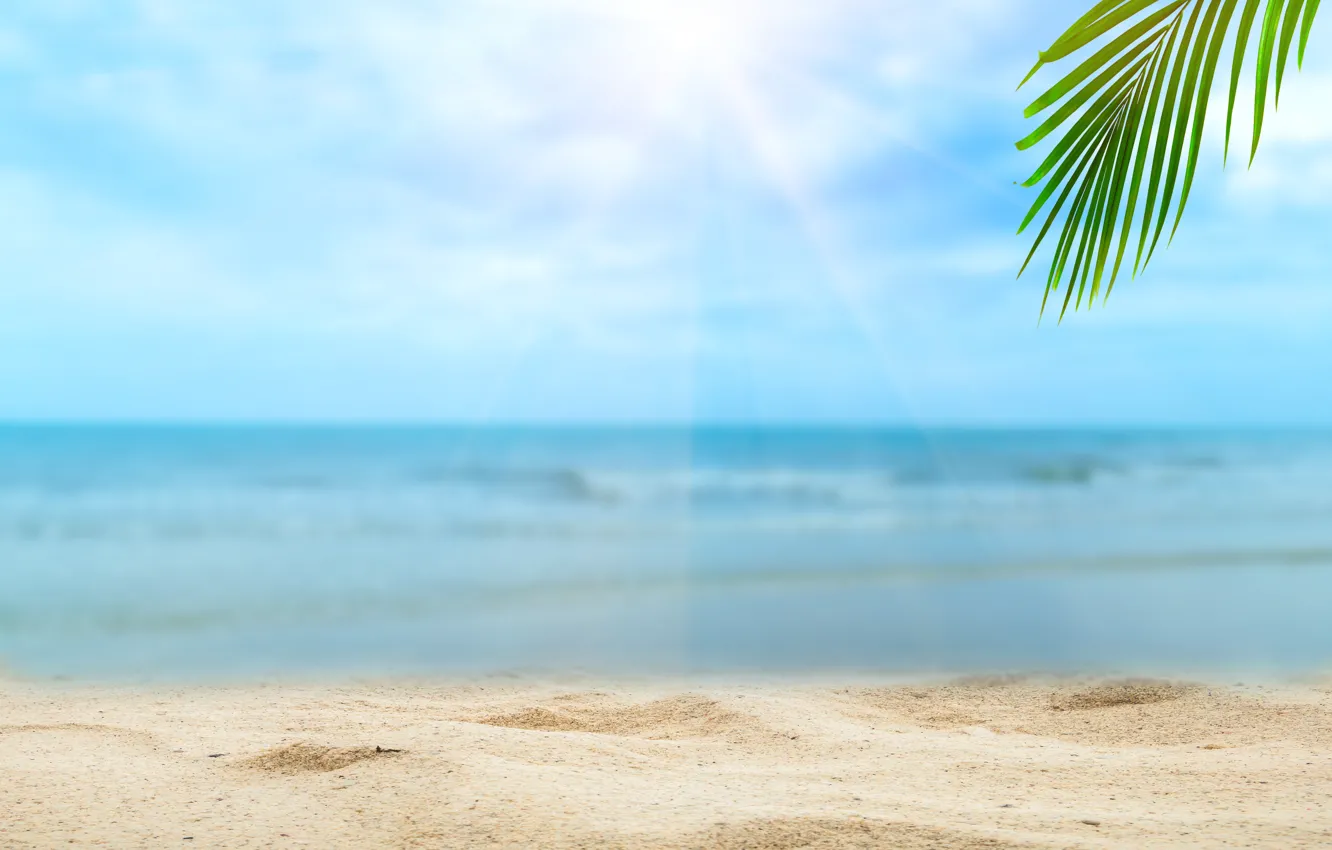 Photo wallpaper sand, sea, beach, summer, the sky, the sun, palm trees, shore