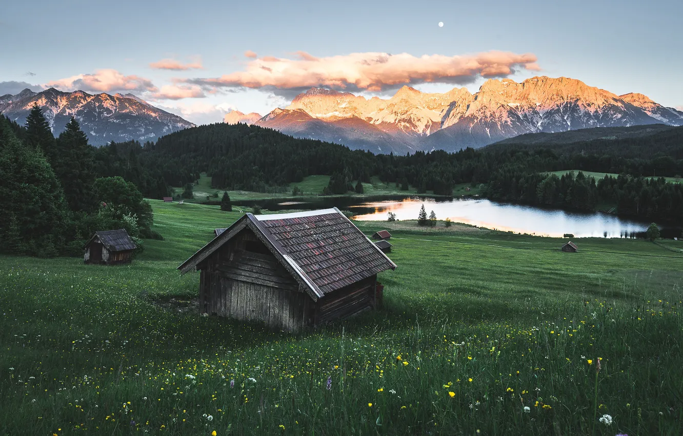 Photo wallpaper field, forest, summer, the sky, grass, clouds, flowers, mountains
