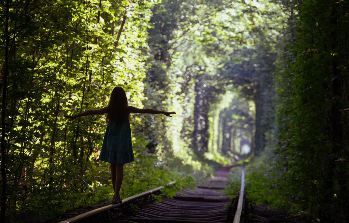 Photo wallpaper green, silhouette, Trees, train tracks