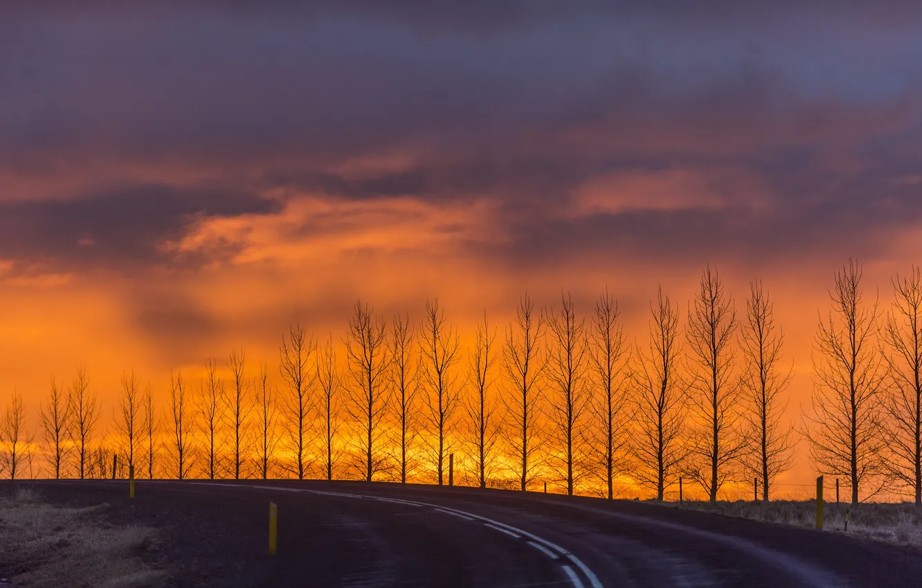 Photo wallpaper road, trees, landscape, sunset