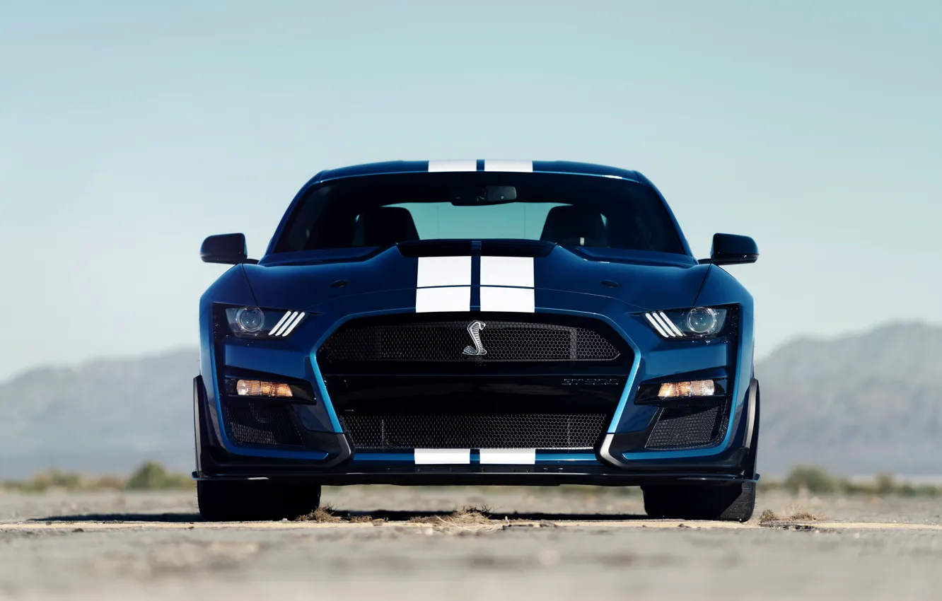 Photo wallpaper blue, Mustang, Ford, Shelby, GT500, front, 2019