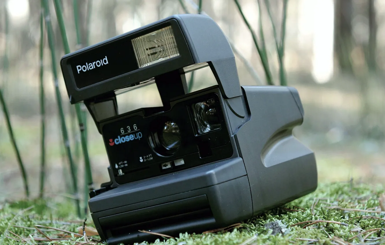 Photo wallpaper flash, the camera, case, Polaroid