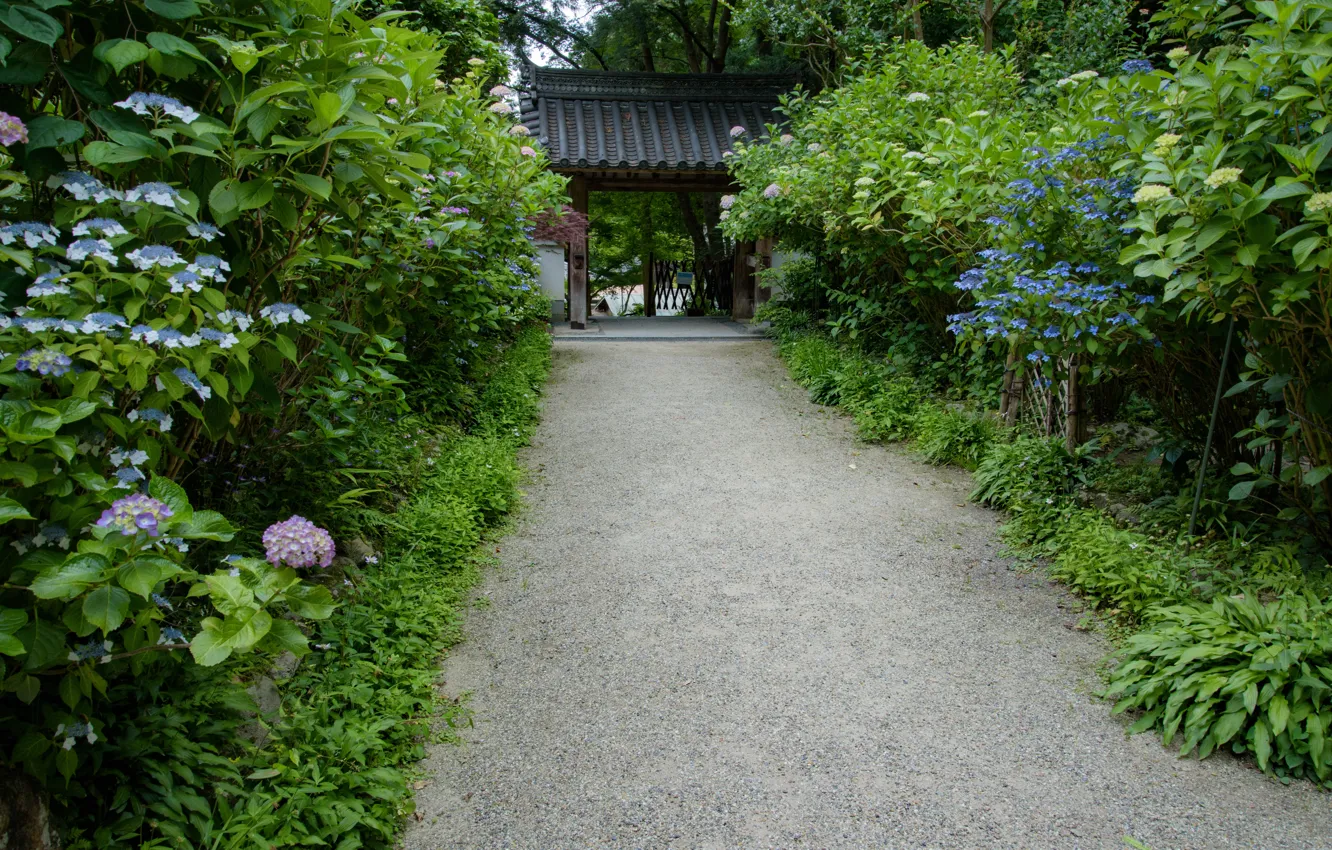 Photo wallpaper Nature, Japan, Gate, Temple, Track