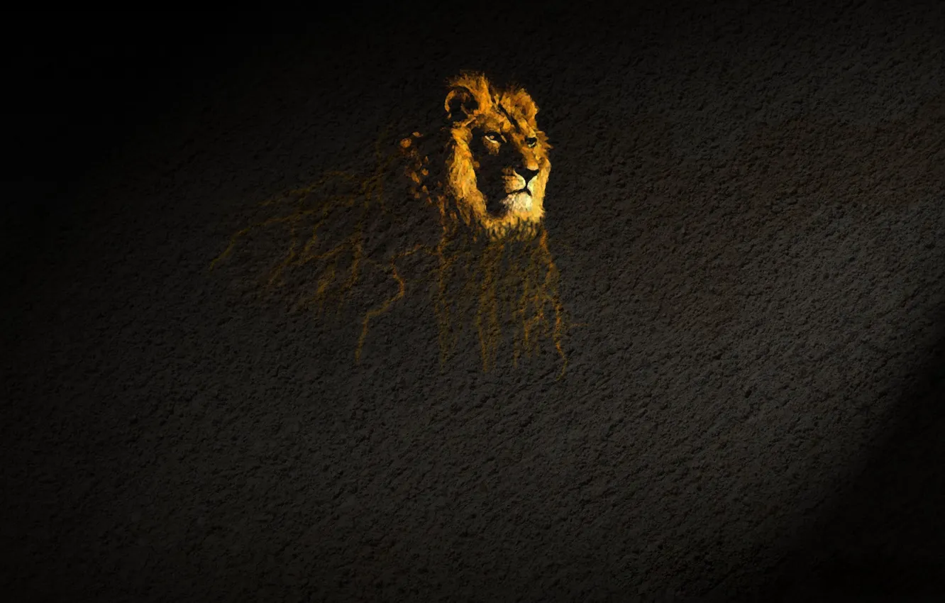 Photo wallpaper surface, Leo, stains