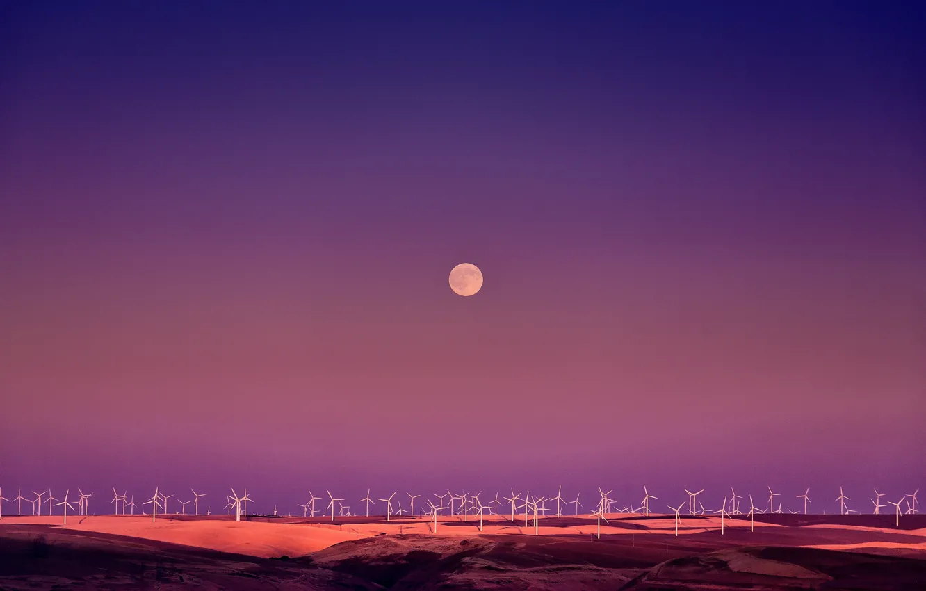 Photo wallpaper field, the moon, twilight, wind turbine
