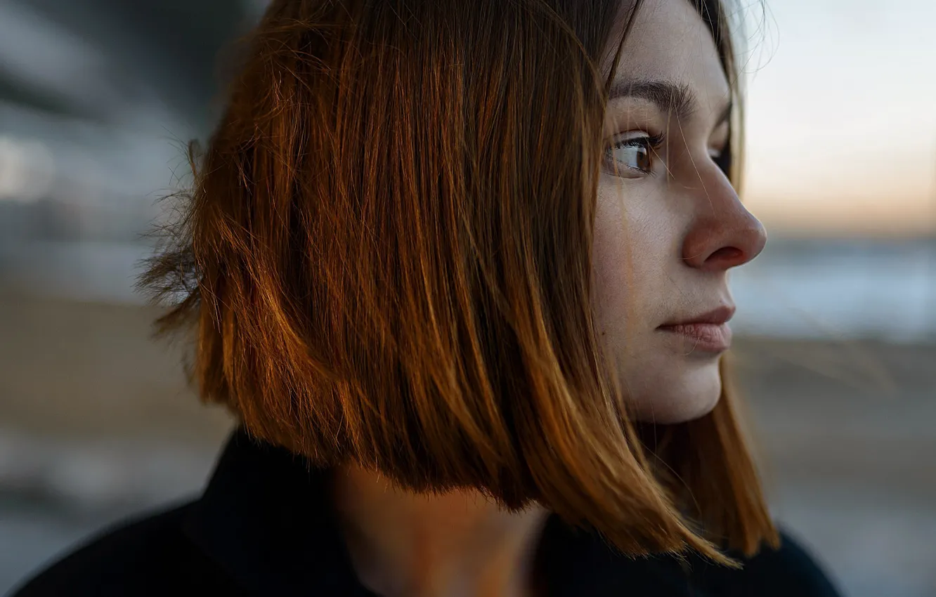 Photo wallpaper profile, sponge, Kare, brown-eyed, Aleks Five