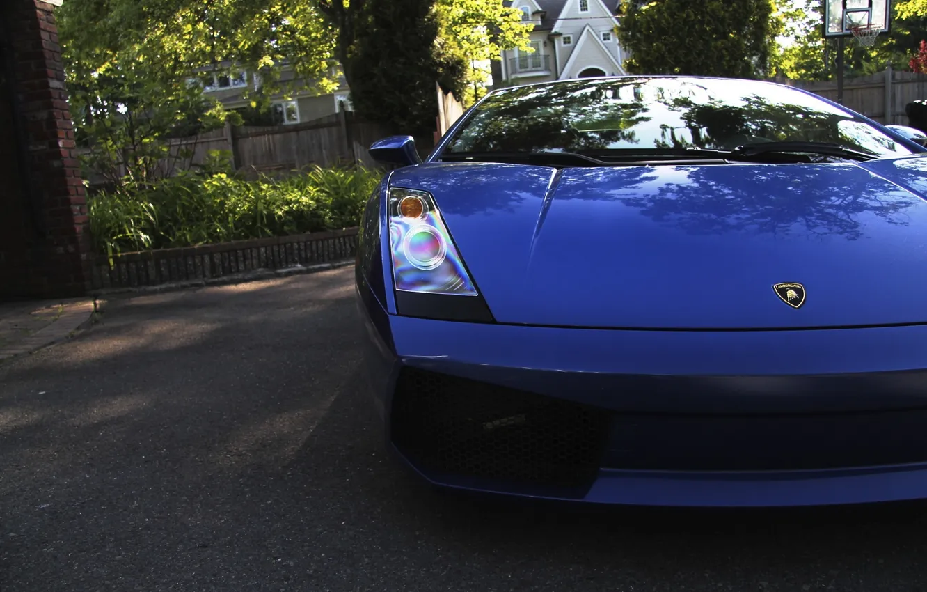Photo wallpaper blue, home, Lamborghini, supercar, Gallardo