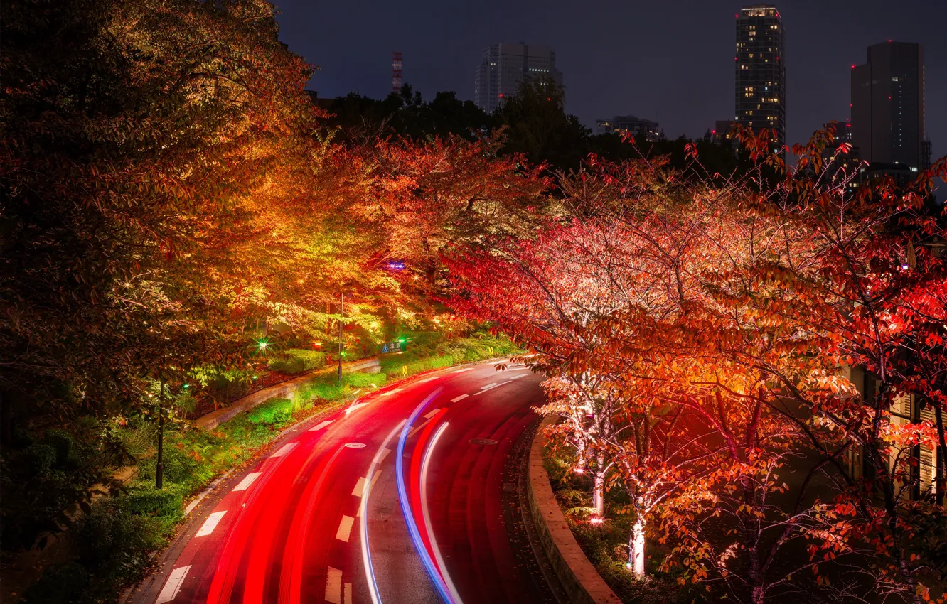 Photo wallpaper road, trees, night, lights, home, Japan, Tokyo, lights