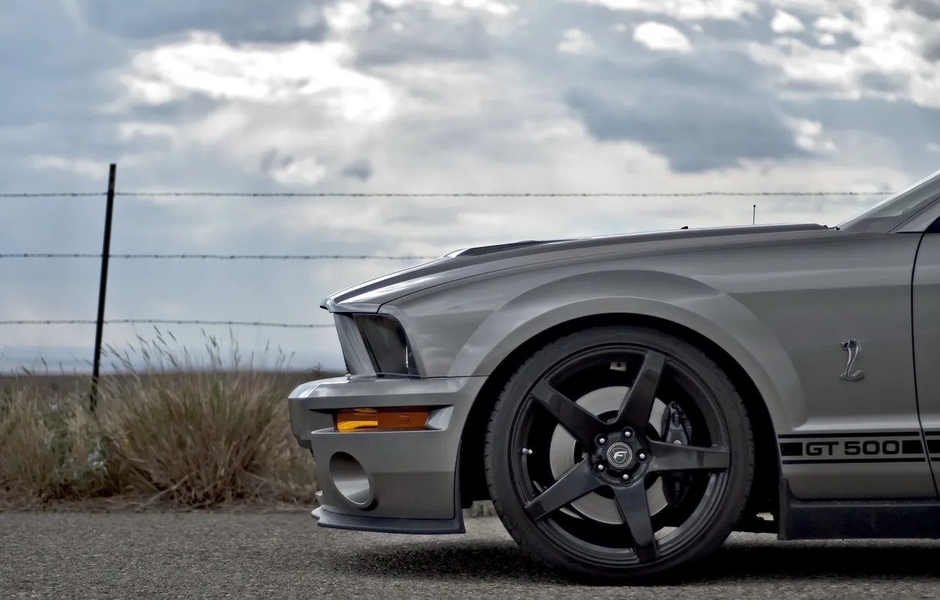 Photo wallpaper road, machine, gt 500, ford mustang