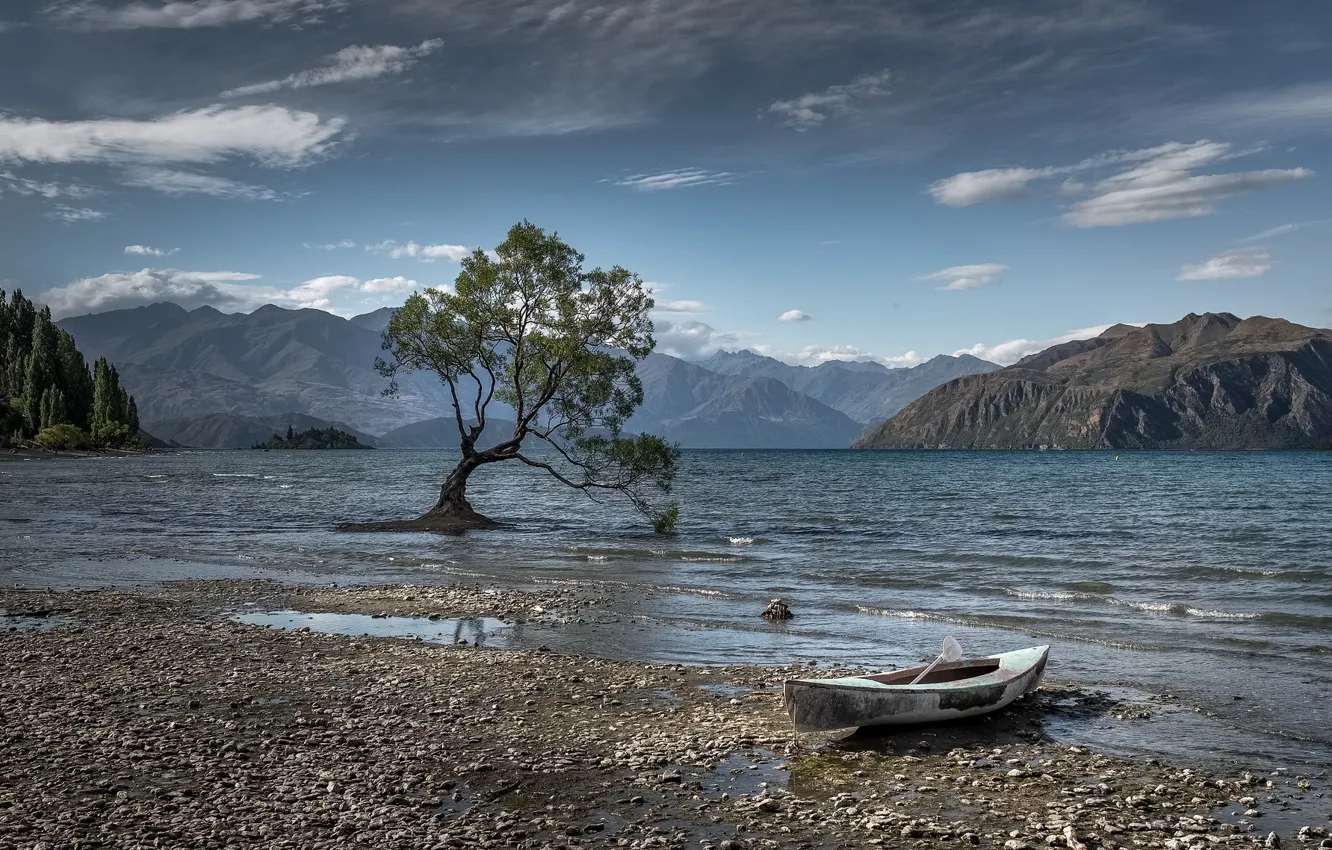 Photo wallpaper lake, tree, boat