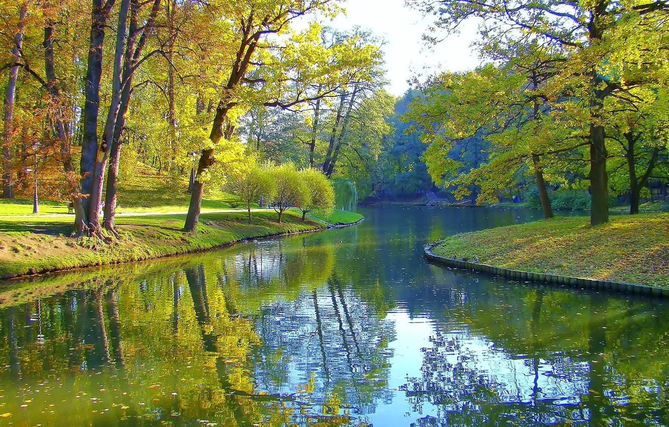 Photo wallpaper autumn, trees, pond, Park