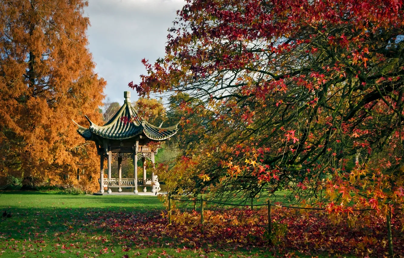 Photo wallpaper autumn, trees, England, pagoda, gazebo, England, Botanical garden, Wesley