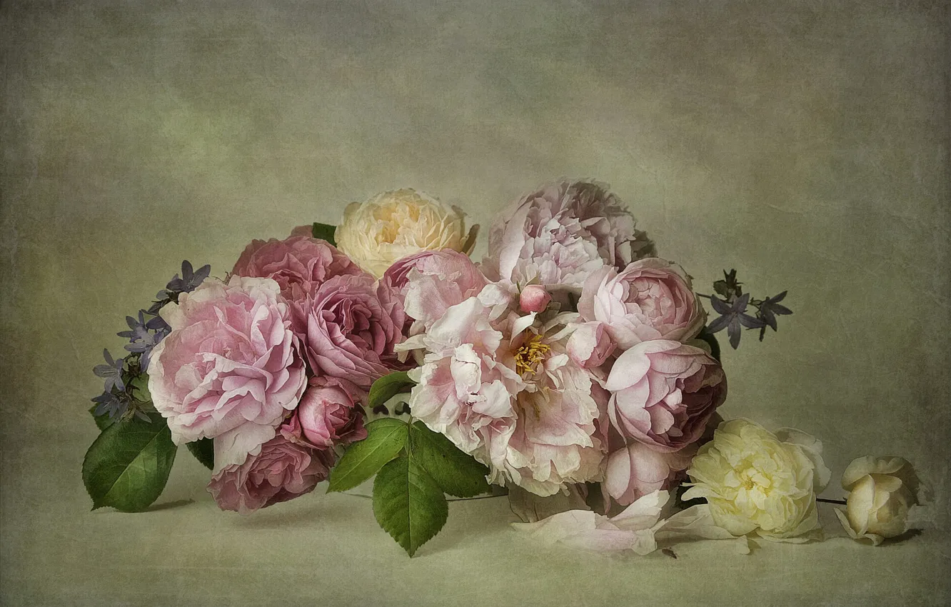 Photo wallpaper leaves, flowers, background, roses, bouquet, art, pink, white