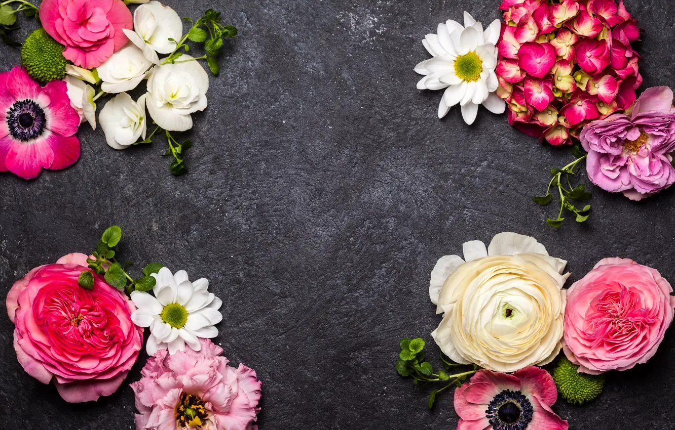 Photo wallpaper flowers, background, hydrangea, eustoma