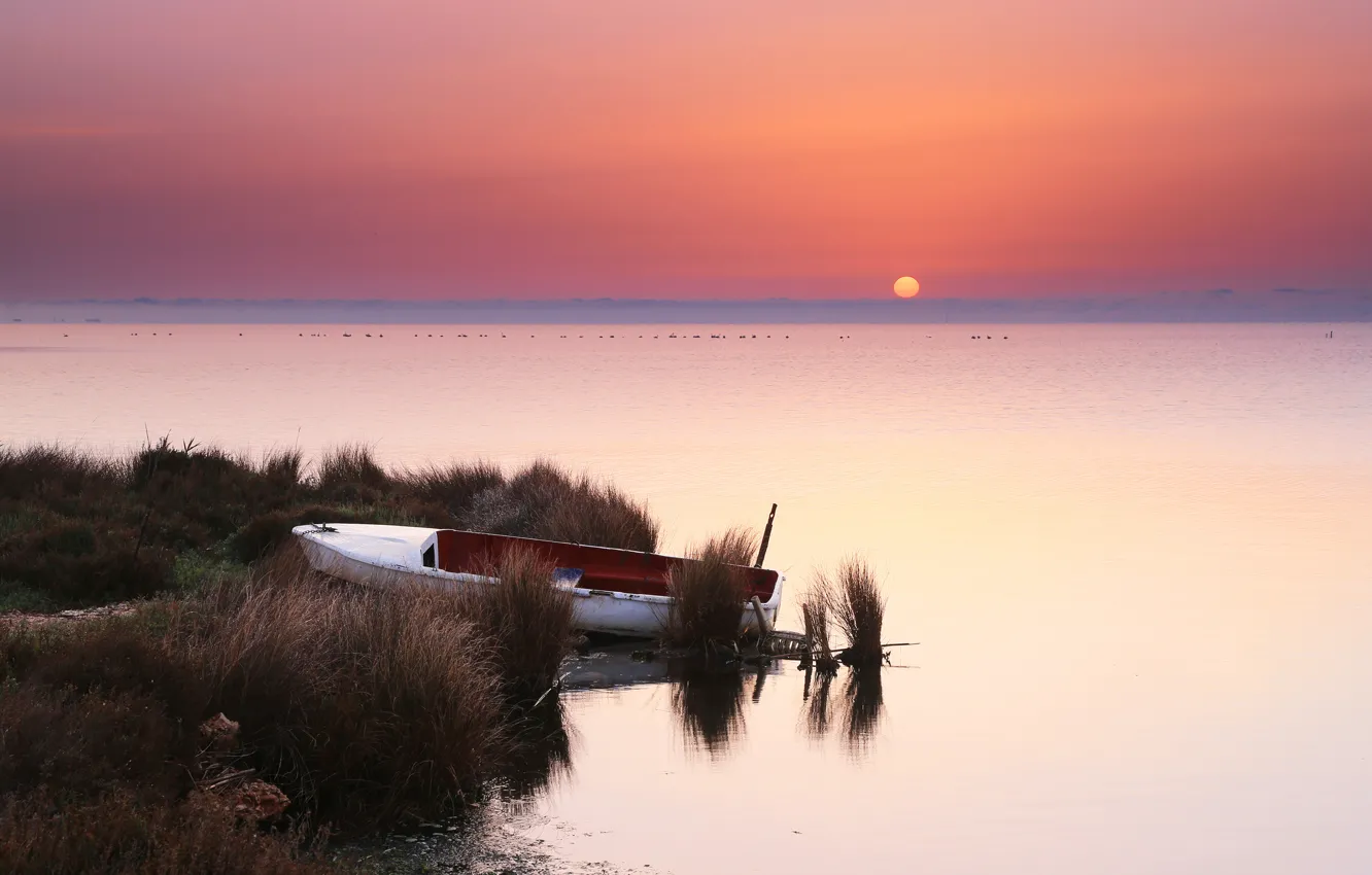 Photo wallpaper water, the sun, sunset, boat, the evening