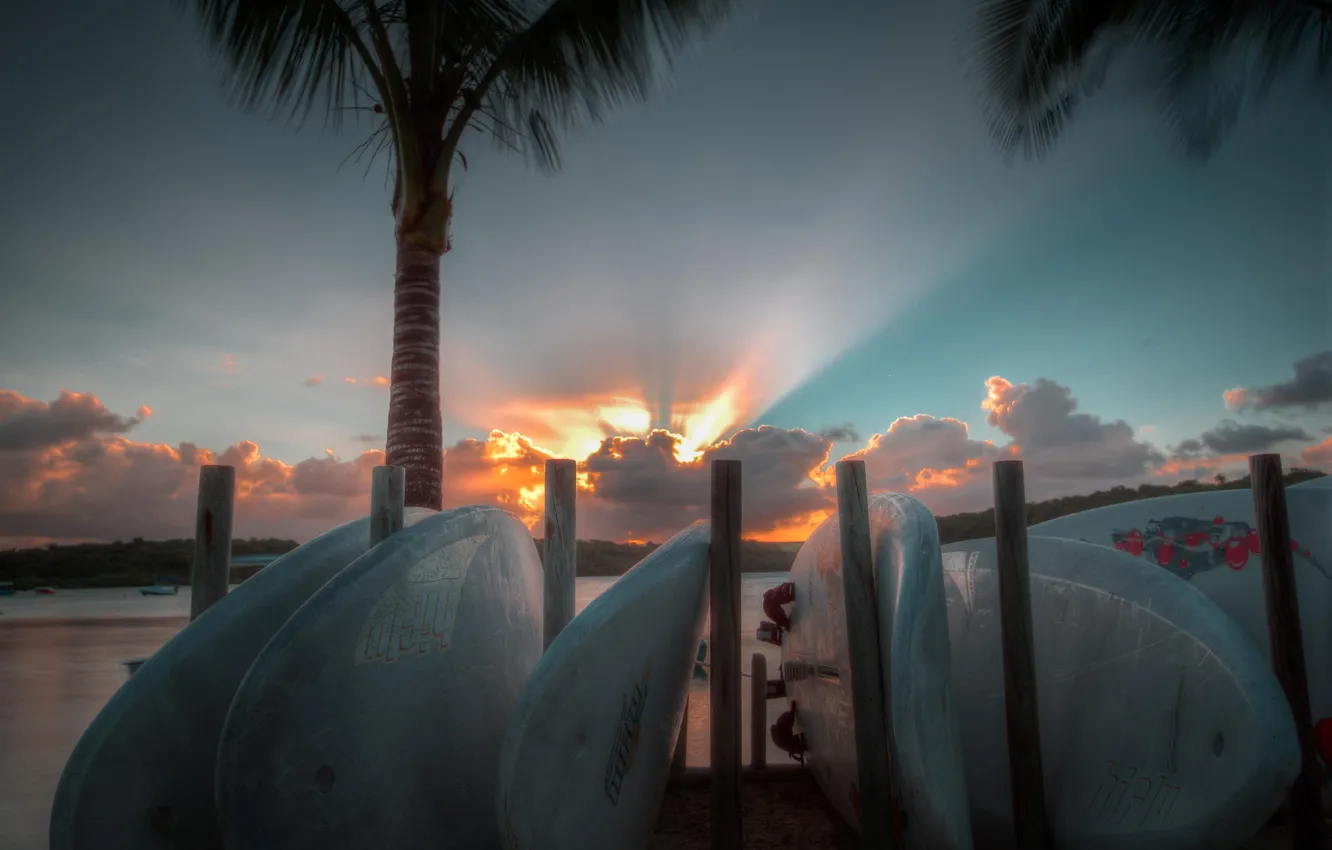 Photo wallpaper beach, the sky, landscape, palm trees, the ocean, dawn, surfboards