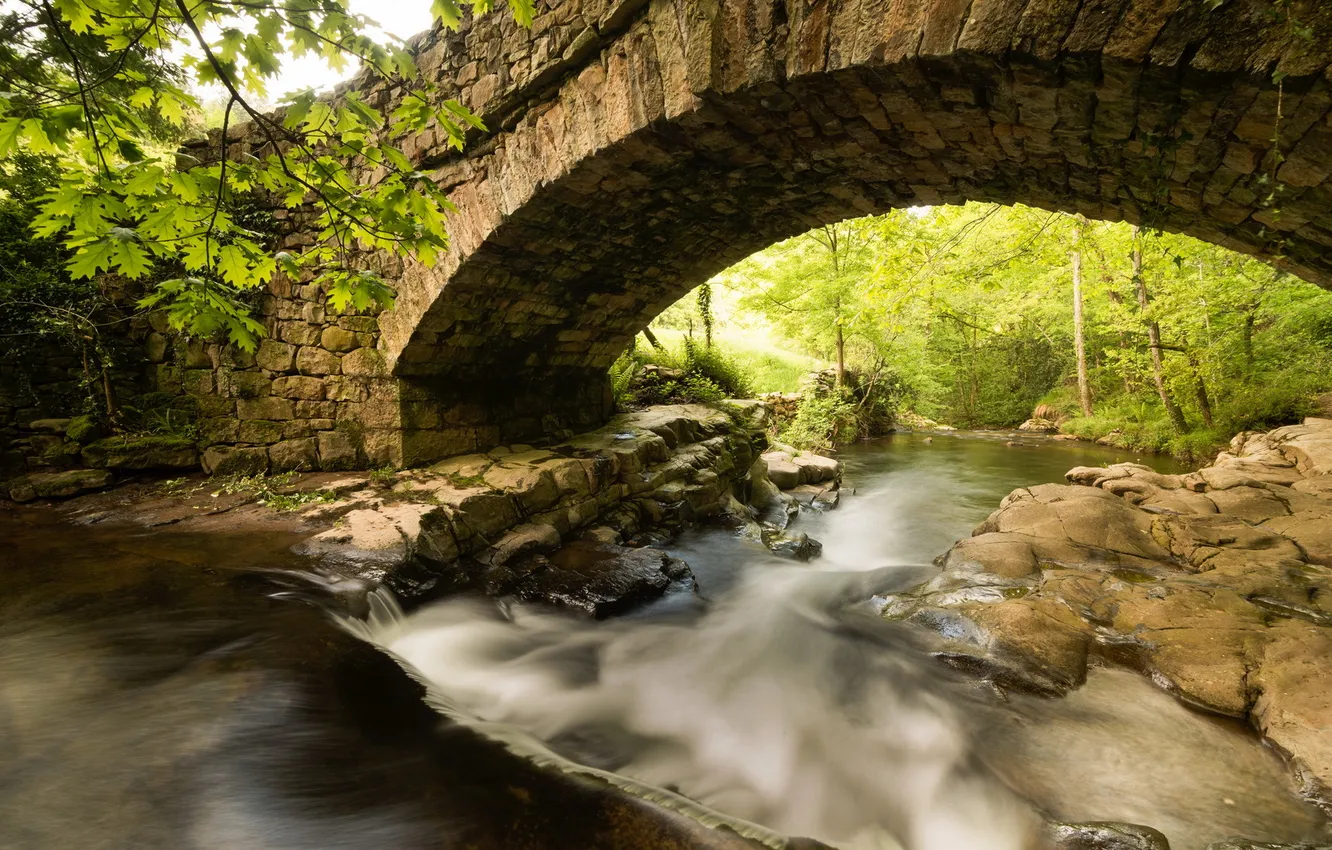 Photo wallpaper landscape, bridge, river
