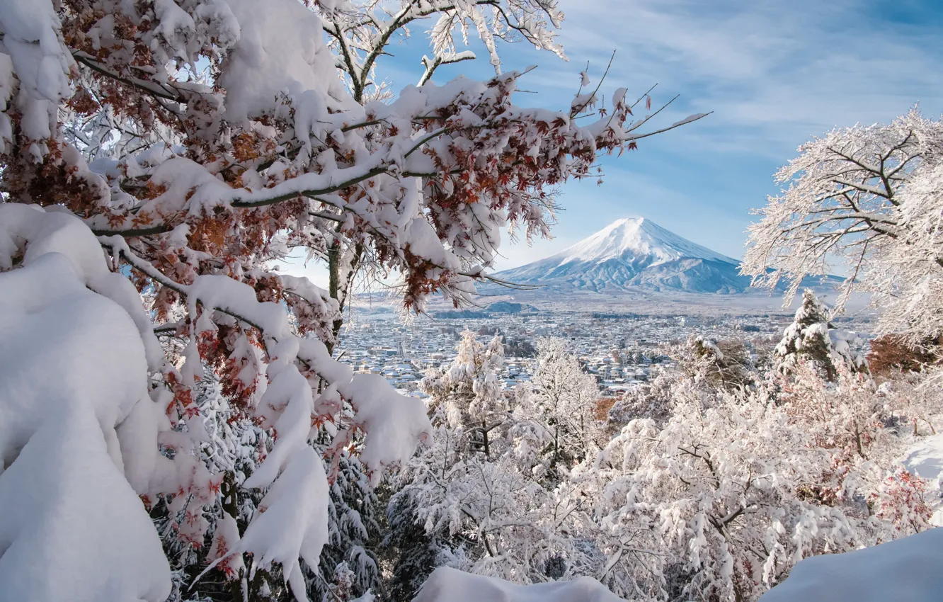 Photo wallpaper winter, snow, trees, branches, the volcano, Japan, panorama, Japan