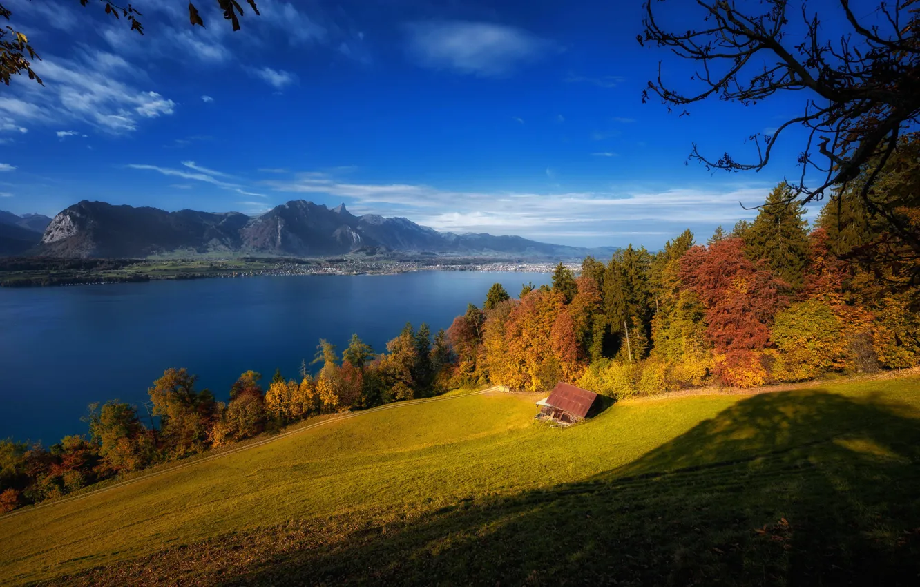 Photo wallpaper autumn, trees, mountains, lake, Switzerland, Switzerland, Lake Thun, Bernese Alps