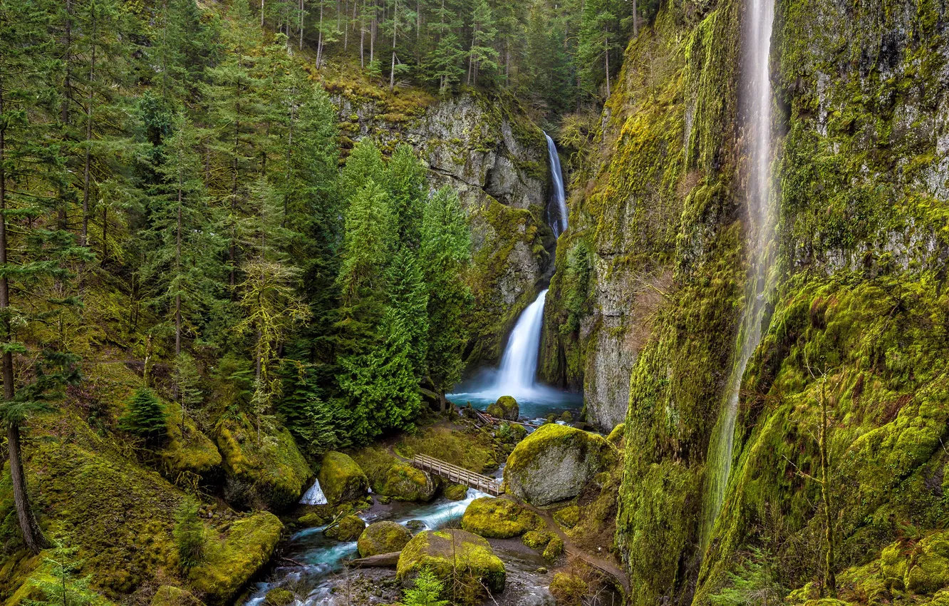 Photo wallpaper Oregon, USA, USA, Oregon, Columbia, Colombia, River Gorge, Wahclella Falls