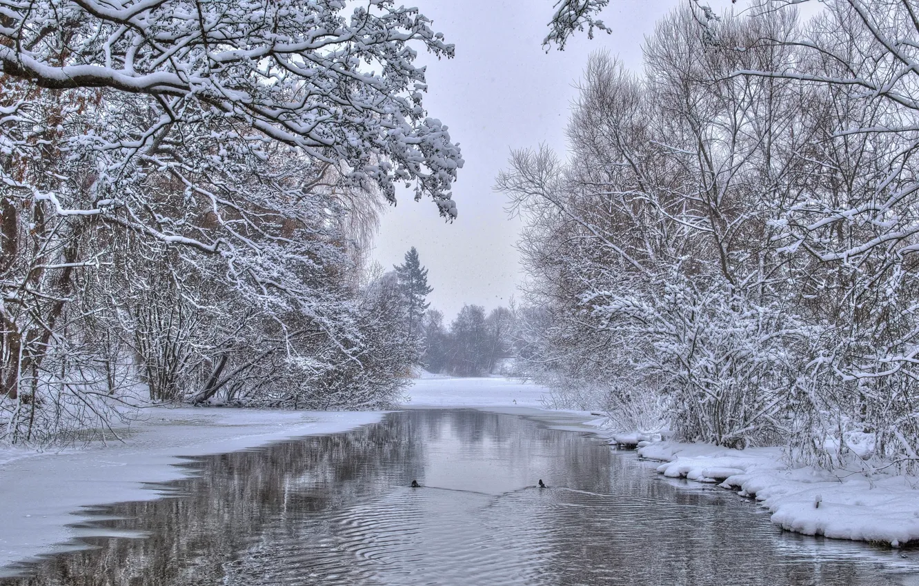 Photo wallpaper winter, trees, nature, river