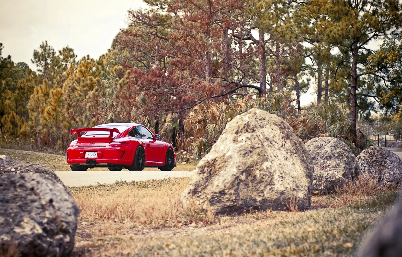 Photo wallpaper road, forest, the sky, trees, red, 911, 997, Porsche