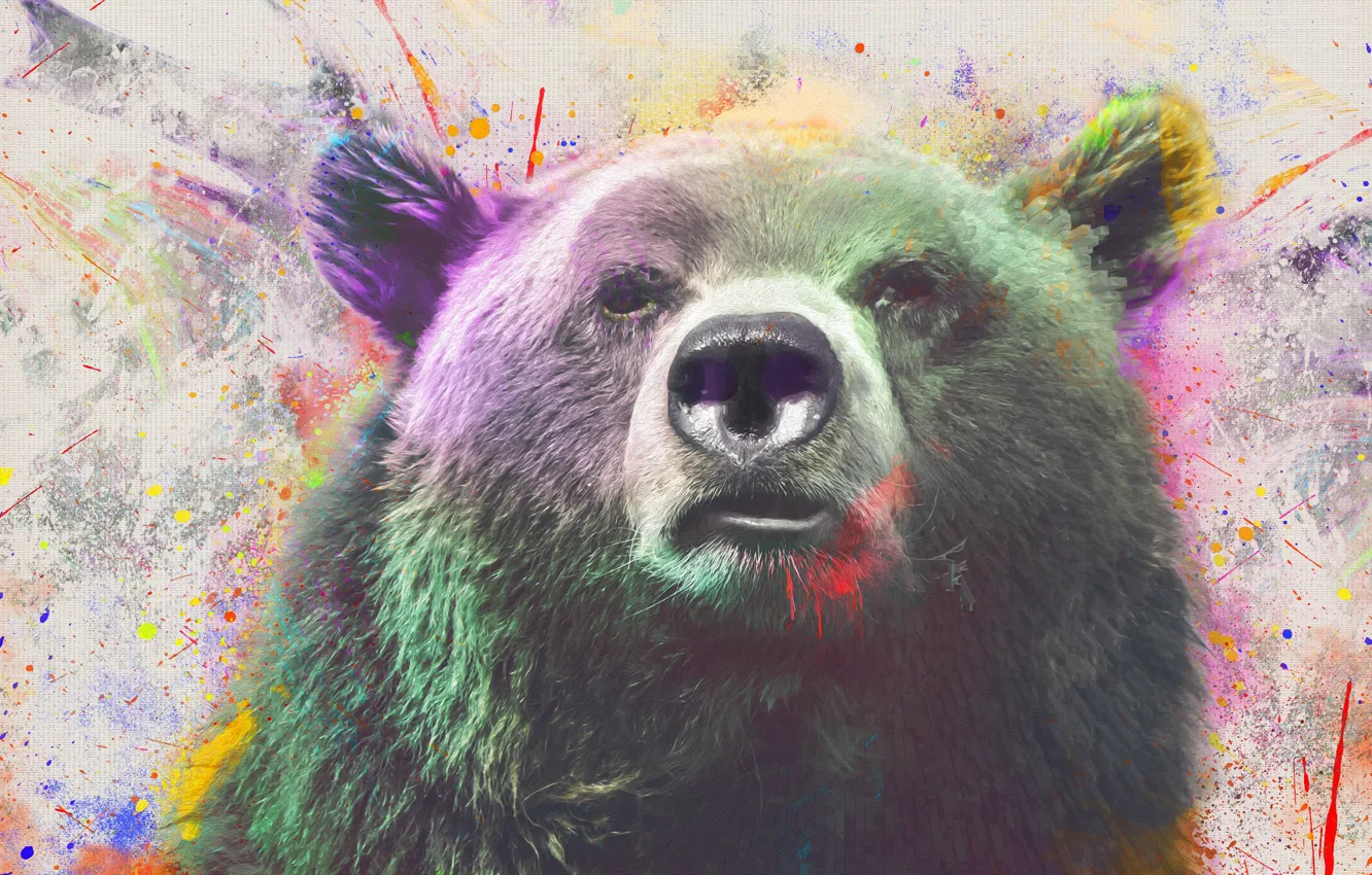 Photo wallpaper squirt, paint, bear, by 0l-Fox-l0