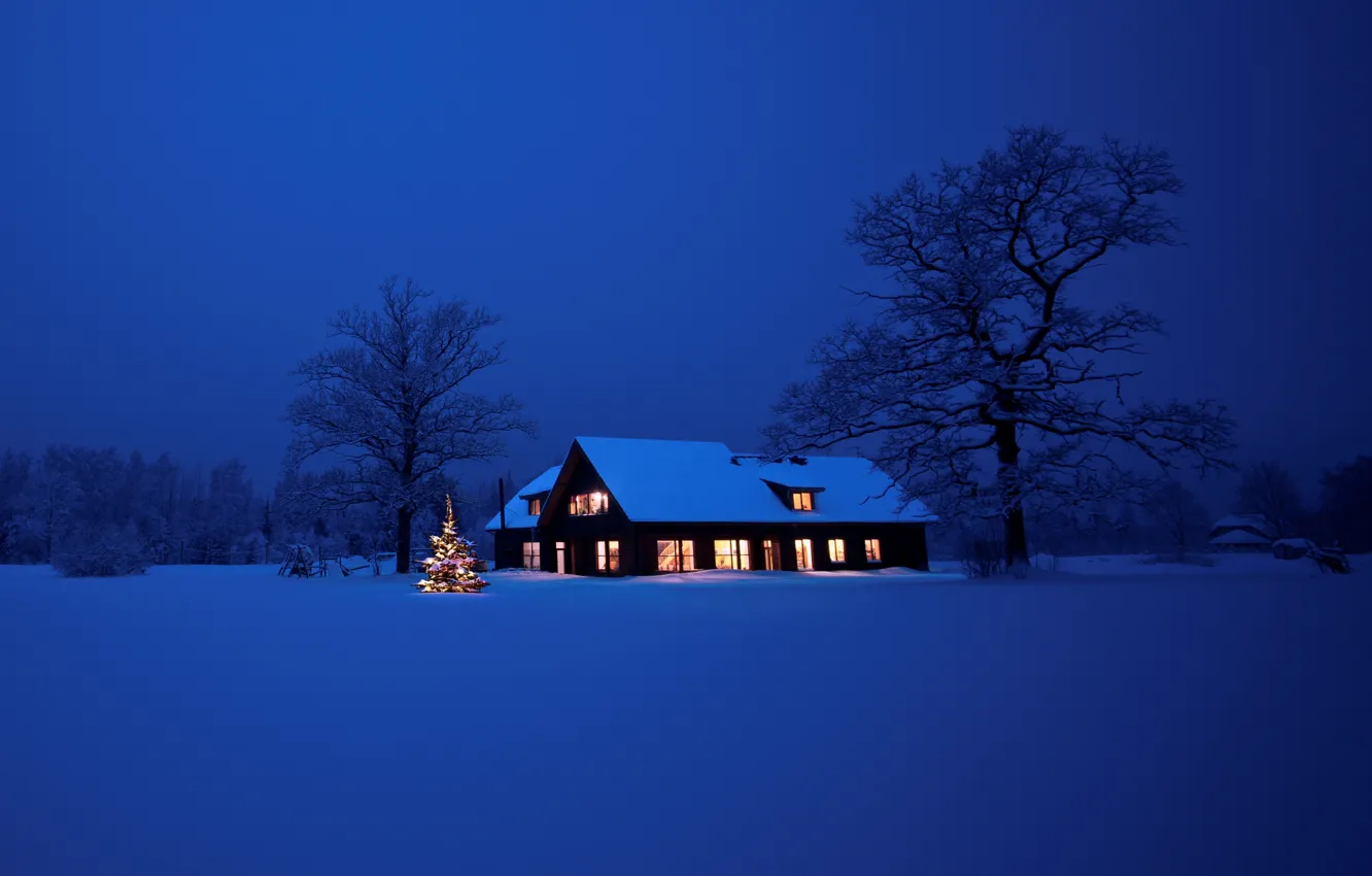 Photo wallpaper lights, house, tree, New Year, Christmas, Christmas, night, winter