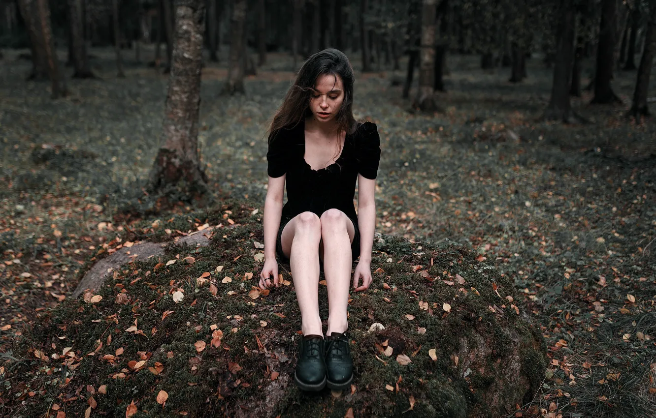Photo wallpaper forest, girl, stones, legs, Juliana Naidenova, Ksenia Chapkhaeva