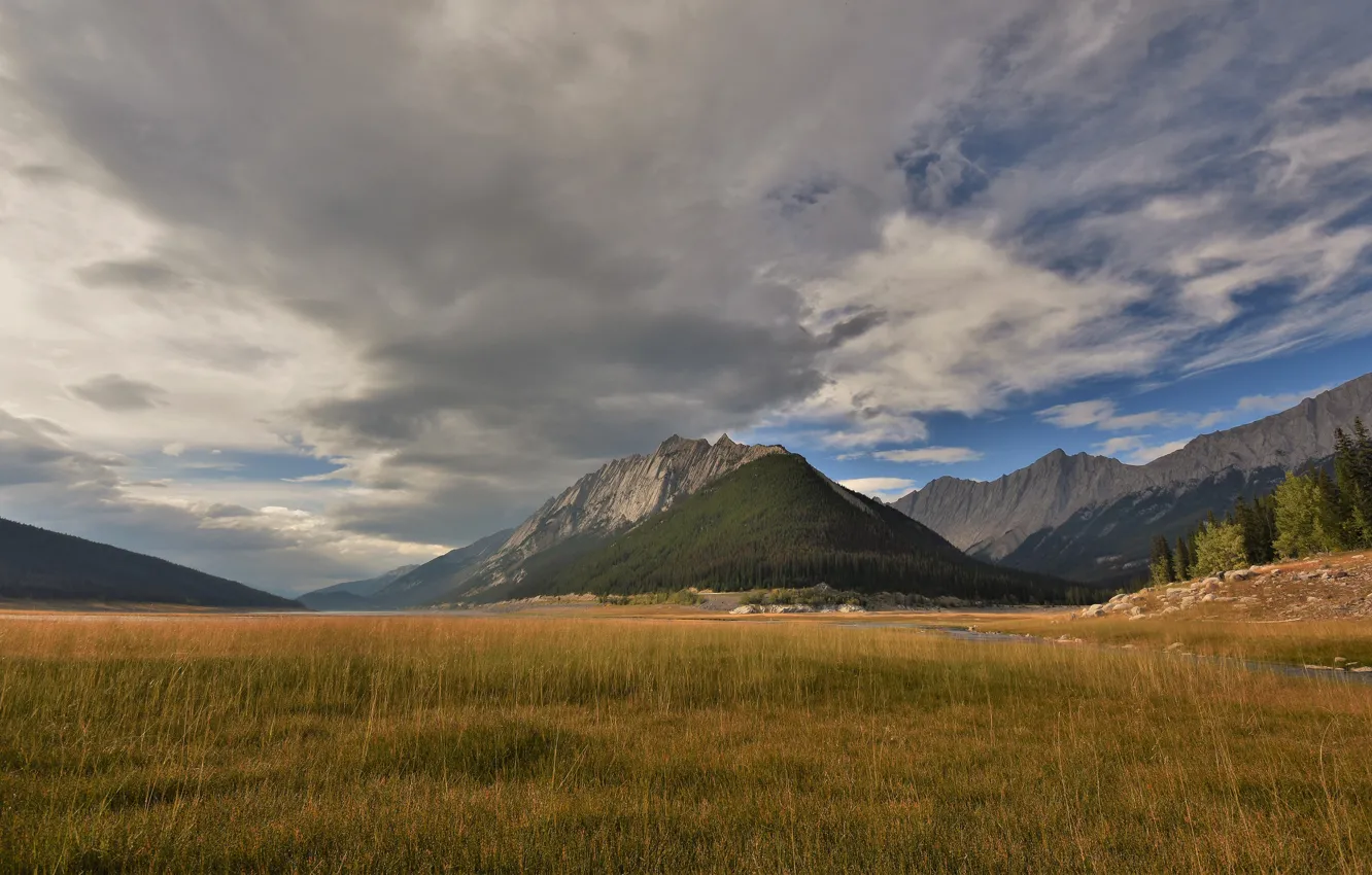 Photo wallpaper field, forest, grass, clouds, mountains, rocks, view