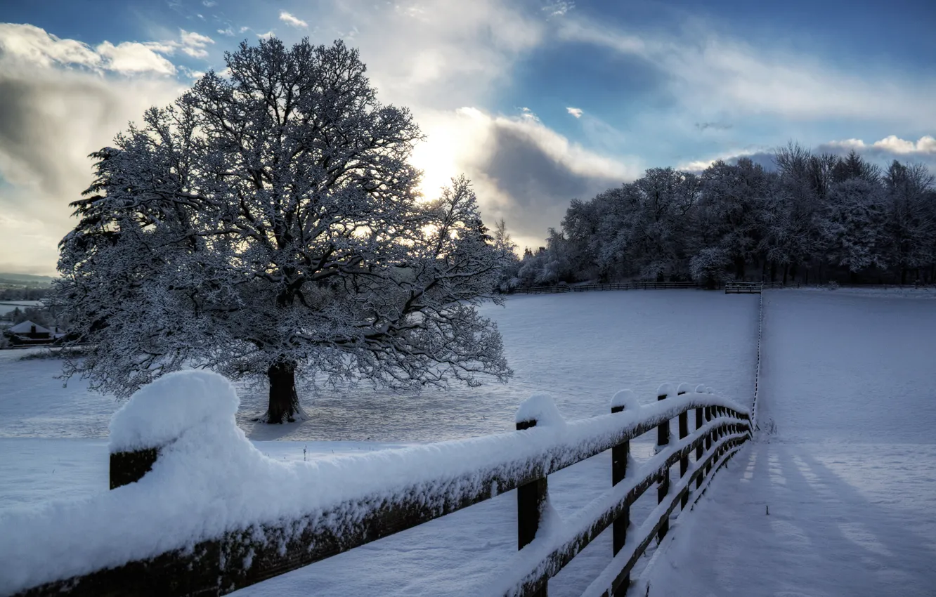 Photo wallpaper winter, the sky, clouds, snow, trees, nature, the fence