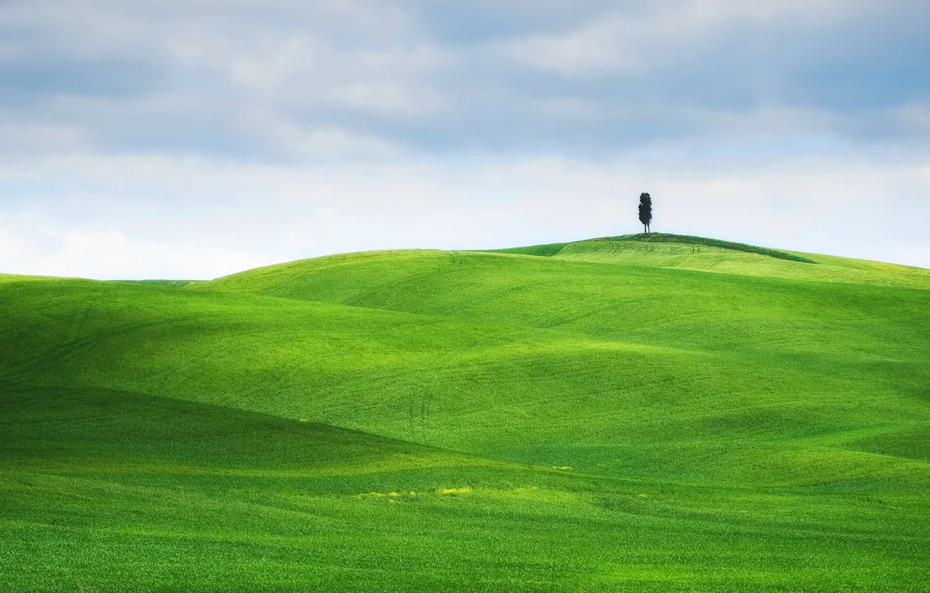 Photo wallpaper field, the sky, grass, trees, landscape, green, meadow, Italy